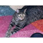 Image 2 of customer photos