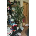 Image 4 of customer photos