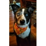 Image 6 of customer photos