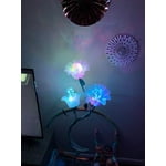 Image 6 of customer photos