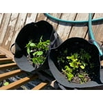 Image 5 of customer photos