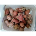 Image 5 of customer photos