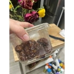 Image 7 of customer photos