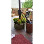 Image 2 of customer photos