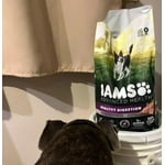 Image 6 of customer photos