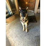 Image 6 of customer photos