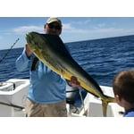 Image 7 of customer photos