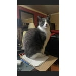 Image 1 of customer photos