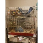 Image 5 of customer photos