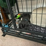 Image 2 of customer photos