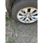 Image 3 of customer photos