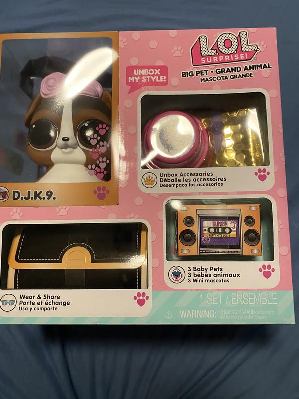 L.O.L Surprise! Big Pet DJ K.9. Doll Playset, 15 Pieces - Walmart.com