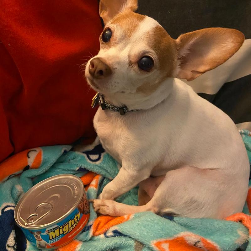 mighty dog food walmart
