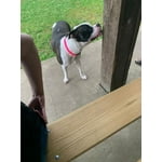 Image 4 of customer photos