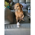 Image 4 of customer photos