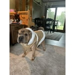 Image 3 of customer photos