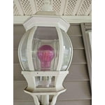 Image 7 of customer photos