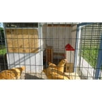 Image 3 of customer photos