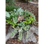 Image 3 of customer photos