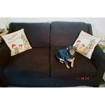 Image 3 of customer photos