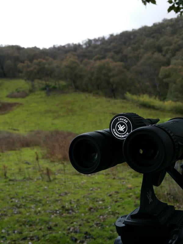 vortex diamondback roof prism binoculars