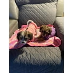 Image 1 of customer photos