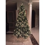 Image 7 of customer photos