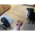 Image 4 of customer photos