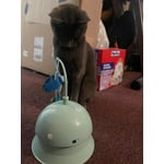 Image 6 of customer photos