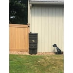Image 2 of customer photos