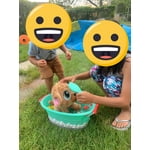 Image 2 of customer photos