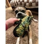 Image 3 of customer photos