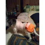 Image 3 of customer photos