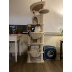 Image 4 of customer photos