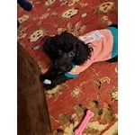 Image 7 of customer photos