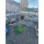 Image 4 of customer photos