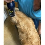 Image 4 of customer photos