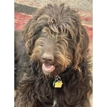 Image 5 of customer photos