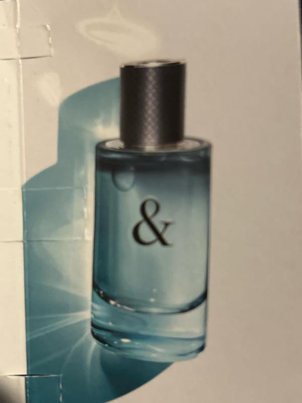 Tiffany & Love Eau de Toilette for him 3.0 OZ - Walmart.ca