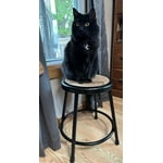 Image 5 of customer photos