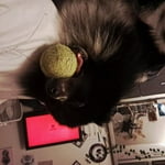 Image 1 of customer photos