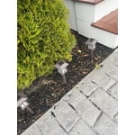 Image 4 of customer photos