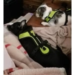Image 4 of customer photos