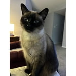 Image 7 of customer photos