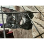 Image 6 of customer photos