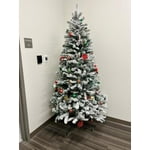 Image 5 of customer photos