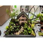 Image 7 of customer photos