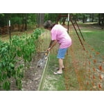 Image 5 of customer photos