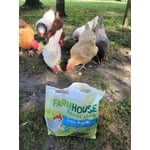 Image 5 of customer photos