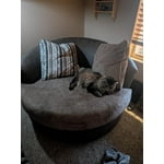 Image 1 of customer photos